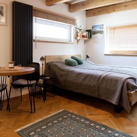 W Zabytkowej Kamienicy 아파트 *